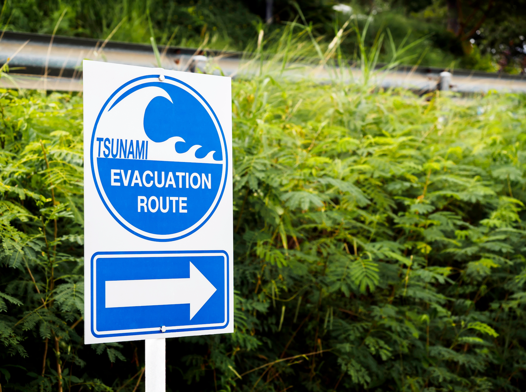 7 Steps for Tsunami Safety at the Beach